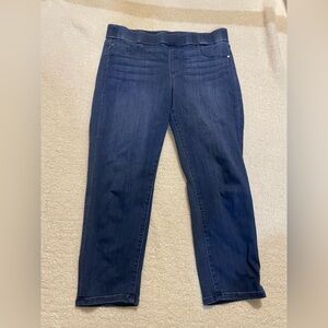 Liverpool Indigo Pull-On Ankle Jeans